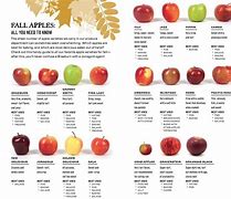 Image result for Types of Apple's Alphabetical