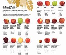 Image result for Fruit Apple with a Camra On It