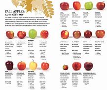 Image result for Purple Apple Varieties