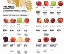 Image result for List of Apple Varieties