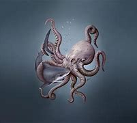 Image result for Octopus Art Desktop Wallpaper
