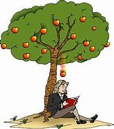 Image result for Newton Apple Tree Clip Art