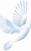 Image result for White Dove Emoji