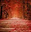 Image result for Red Nature Wallpaper for Phone