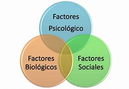 Image result for Que ES Ser Social Biologia
