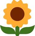 Image result for Yellow Flower Emoji