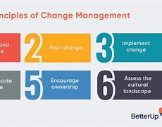 Image result for Project Management Office and Change Management