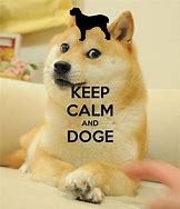 Image result for Doge Dark 2019 Memes