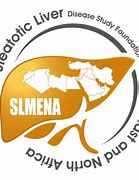 Image result for slmena