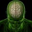Image result for Human Body Anatomy Brain