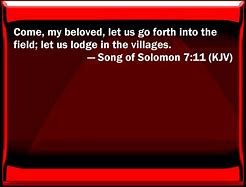 Image result for Songs of Solomon 7 On One Page