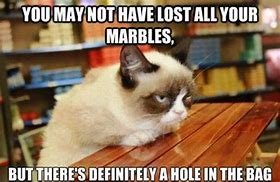 Image result for What Doesn't Kill You Grumpy Cat Memes