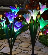 Image result for Solar Powered Plant Lights