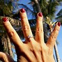 Image result for Palm Tree Phone Rings