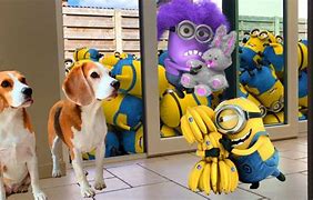Image result for Animal Minion