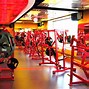 Image result for Gold's Gym Wallpaper