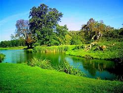 Image result for Realistic Nature Background