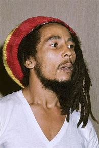 Image result for Bob Marley Beard