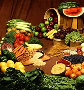 Image result for plant based diets