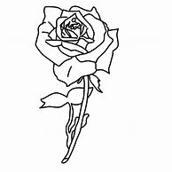 Image result for Rose