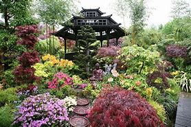 Image result for English Zen Garden