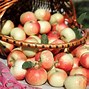 Image result for Fall Scene with Apple Tree
