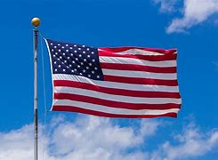 Image result for United States Flag