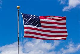 Image result for III American Flag