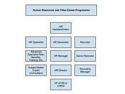 Image result for HR Progression Chart