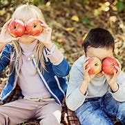 Image result for Apple-Picking Fun