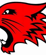 Image result for Wildcats Hockey Logo