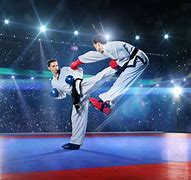 Image result for Most Popular Styles of Karate