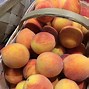 Image result for A Whole Bag of Fruits