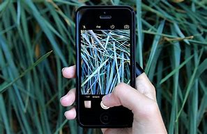 Image result for Black iPhone Back