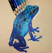 Image result for Blue Frog Drawing