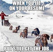 Image result for Lie On Resume Meme