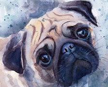 Image result for Painted Pugs
