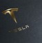 Image result for Blue Tesla Logo