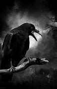 Image result for Creepy Dark Raven