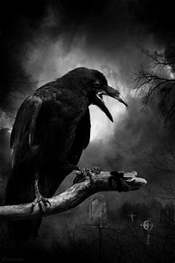 Image result for Spooky Art with Crows