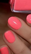 Image result for Coral Pink Objects