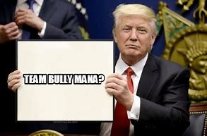 Image result for The Team Bully Meme