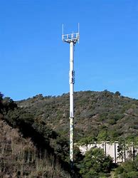Image result for Eucalyptus Monopole Cell Tower