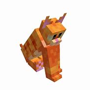 Image result for Minecraft Cat Real Life