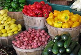 Image result for Local Food Suppliers