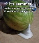 Image result for Watermelon Meme Vine
