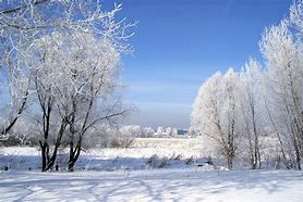 Image result for Cold Sunny Day