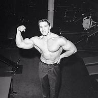 Image result for Arnold Schwarzenegger High