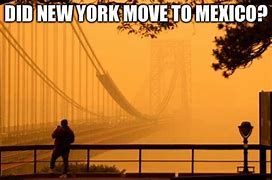 Image result for New York Sitting Meme