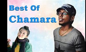Image result for chamadra